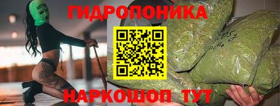 a pvp Дубна