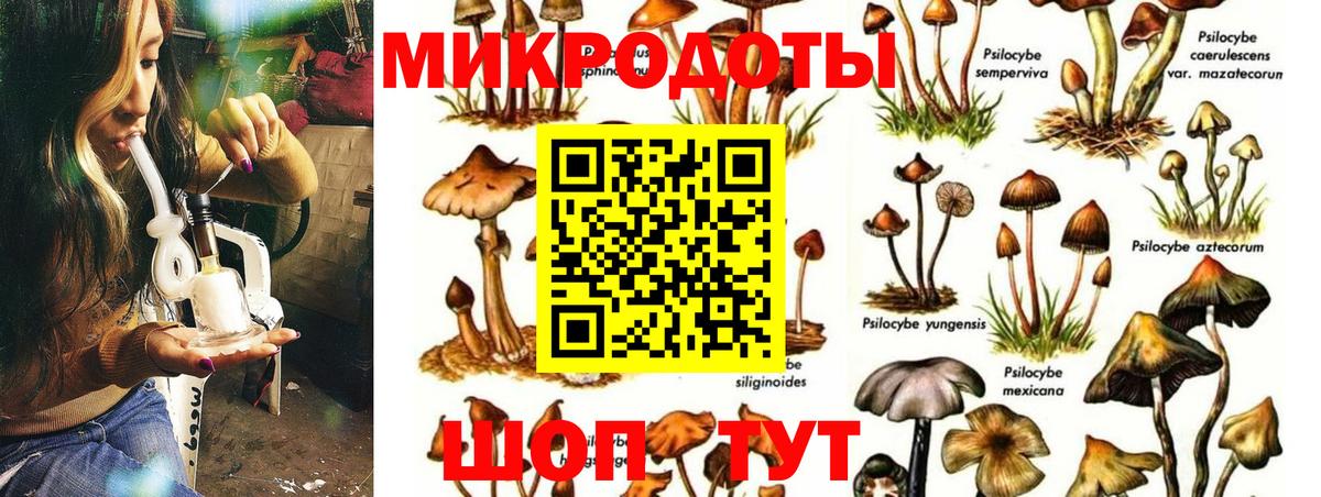 Галлюциногенные грибы прущие грибы Минусинск